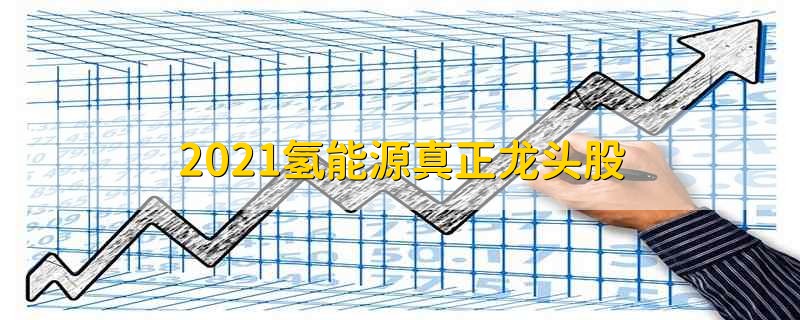 2021氢能源真正龙头股 2021年氢能源真正龙头股是什么