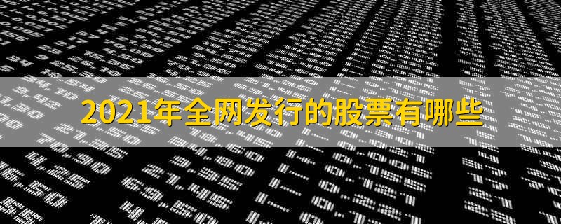 2021年全网发行的股票有哪些 哪些股票是2021年全网新发的