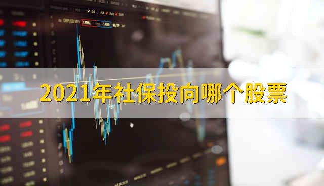 2021年社保投向哪个股票 2021年社保基金重仓股