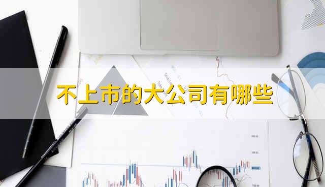 不上市的大公司有哪些 不上市的大公司叫什么名字