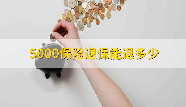 5000保险退保能退多少 5000元保费退保能退多少