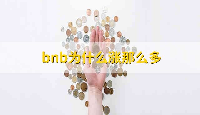 bnb为什么涨那么多 bnb涨那么多的原因