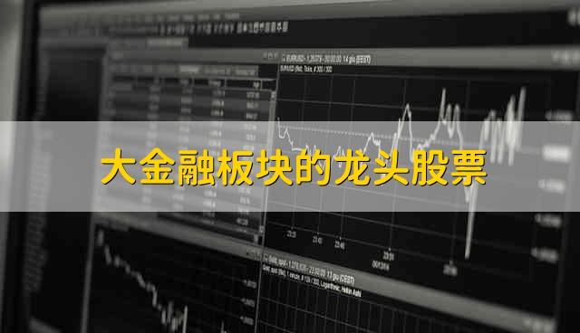 大金融板块的龙头股票 大金融板块的龙头股