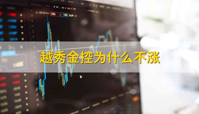 越秀金控为什么不涨 越秀金控资金流向介绍