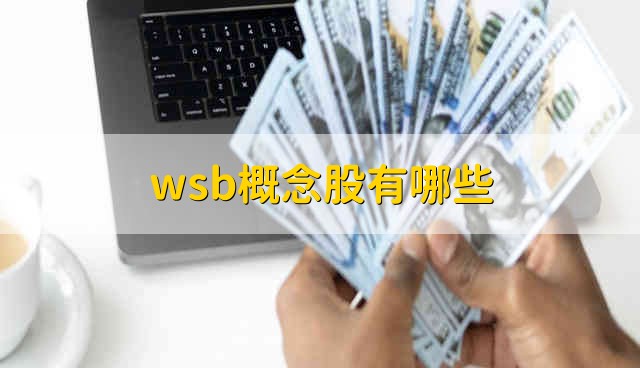 wsb概念股有哪些 wsb概念股票