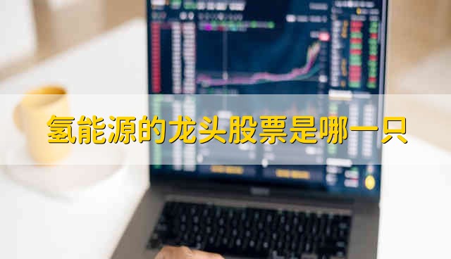 氢能源的龙头股票是哪一只 氢能源股票资金流向介绍