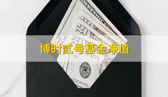 博时贰号基金净值 博时贰号的基金净值是多少