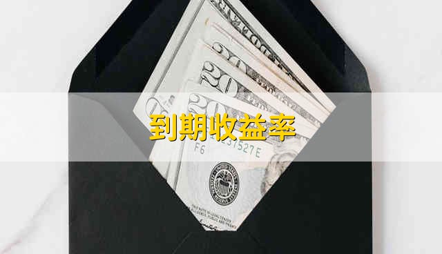 到期收益率 什么是最终收益率