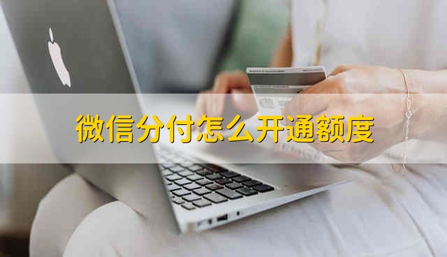 微信分付怎么开通额度 微信分付如何开通额度