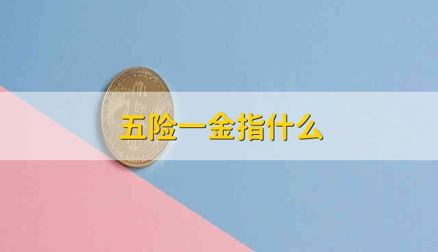 五险一金指什么 什么是五险一金