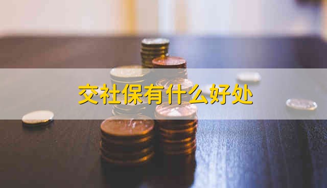 交社保有什么好处 缴社保的好处是什么