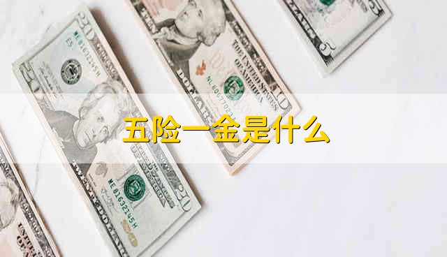 五险一金是什么 五险一金是指什么