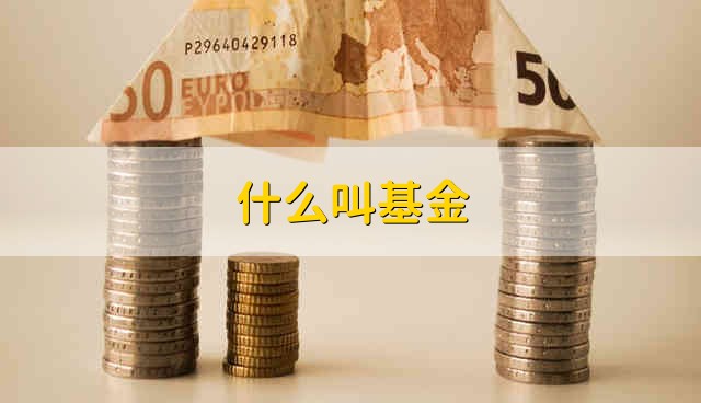 什么叫基金 什么是基金