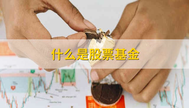 什么是股票基金 股票基金是什么