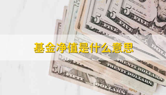 基金净值是什么意思 什么是基金净值