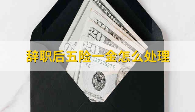 辞职后五险一金怎么处理 离职后五险一金怎么办