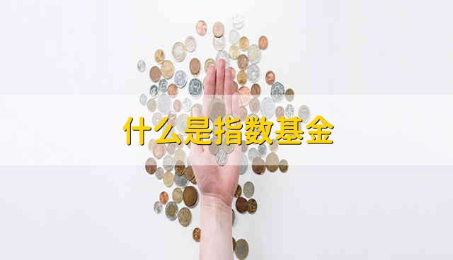 什么是指数基金 指数基金指的是什么