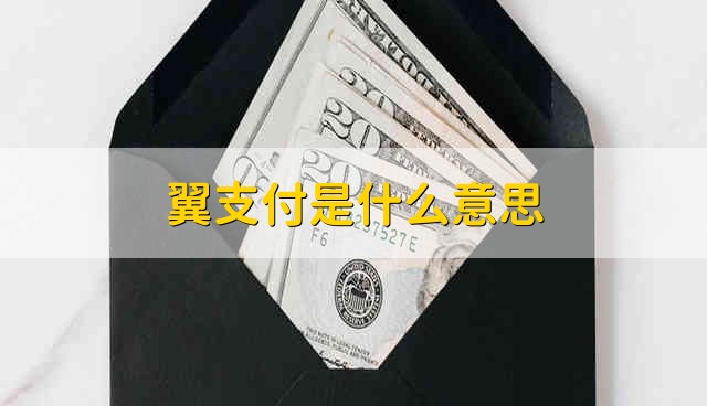 翼支付是什么意思 翼支付指的是什么