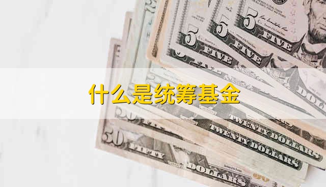 什么是统筹基金 统筹基金是指什么