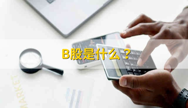 B股是什么？ 什么是B股