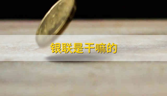 银联是干嘛的 银联是做什么的