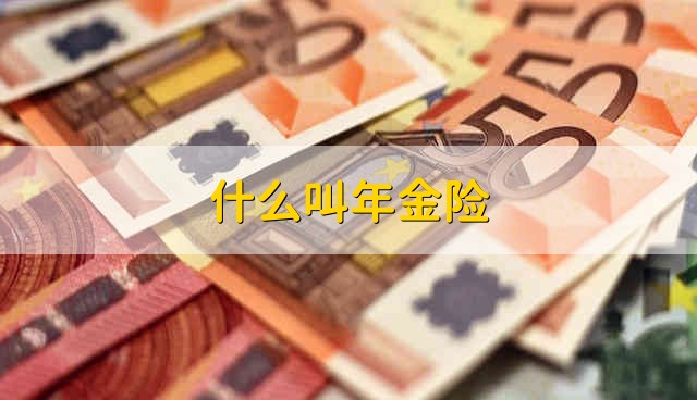 什么叫年金险 年金险是指什么