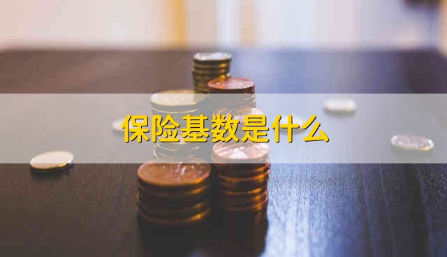 保险基数是什么 什么是保险基数