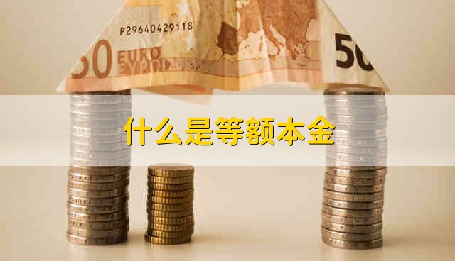 什么是等额本金 等额本金的意思是什么