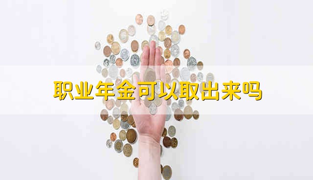 职业年金可以取出来吗 职业年金能不能取出来啊