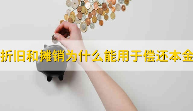 折旧和摊销为什么可以用于偿还本金 折旧和摊销为啥可以偿还本金