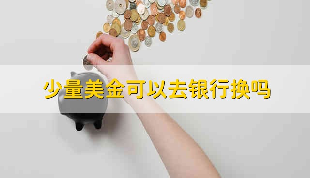 少量美金可以去银行换吗 少数美金可以在银行换吗