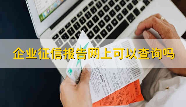 企业征信报告网上可以查询吗 网上可以查企业征信报告吗