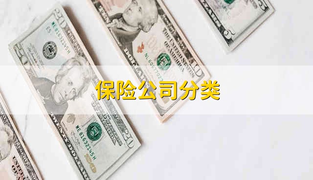 保险公司分类 保险公司怎么分类