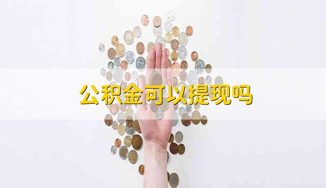 公积金可以提现吗 是能够提现的