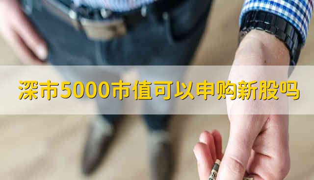 深市5000市值可以申购新股吗 不可以