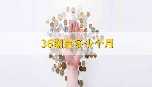 36期是多少个月 36个月