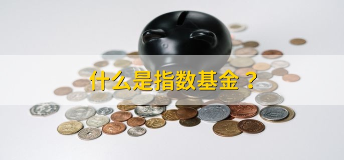 什么是指数基金？ 以特定的指数做标的