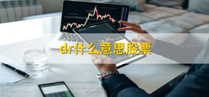 dr什么意思股票 当天是该股票的除息除权日