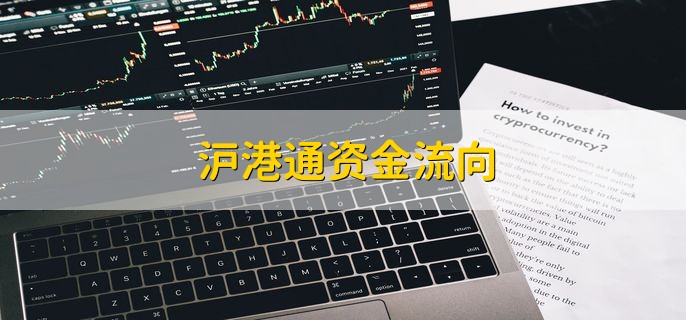 沪港通资金流向 可在交易软件查看