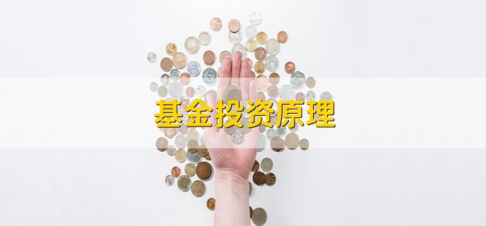 基金投资原理 有什么技巧