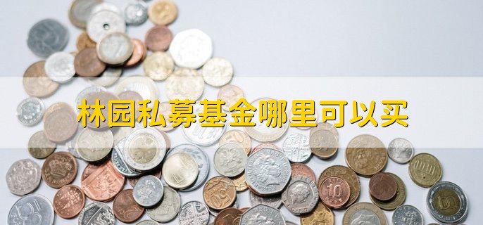 林园私募基金哪里可以买 银行和证券公司等方式