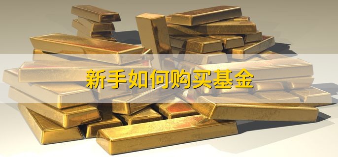 新手如何购买基金，通过基金官网或第三方平台