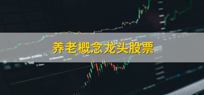 养老概念龙头股票，十大龙头股一览