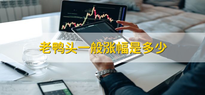 老鸭头一般涨幅是多少，一般是30%到200%不等