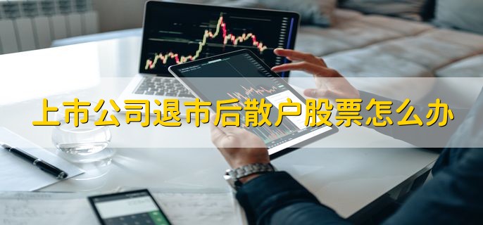 上市公司退市后散户股票怎么办，有以下两种处理方法