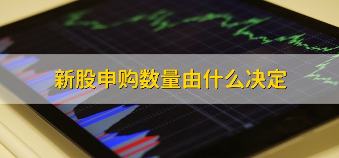 新股申购数量由什么决定，由账户的市值决定