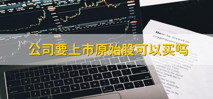 公司要上市原始股可以买吗，条件好就可以买