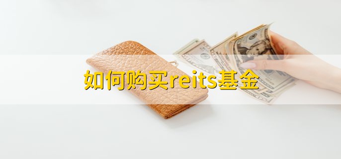 如何购买reits基金，可分为以下两点