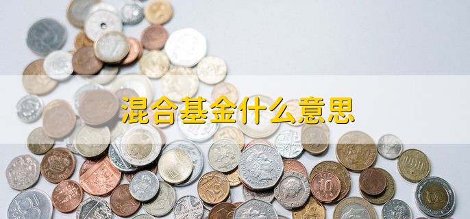 混合基金什么意思，同时投资于股票和债券