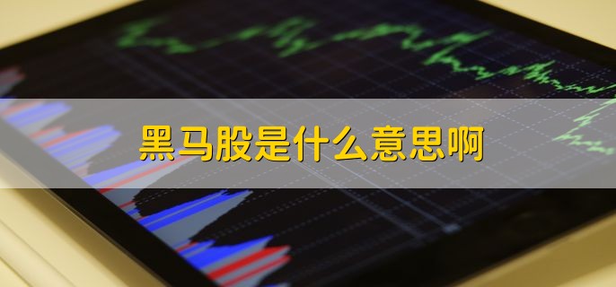 黑马股是什么意思啊，短期内大幅上涨的股票